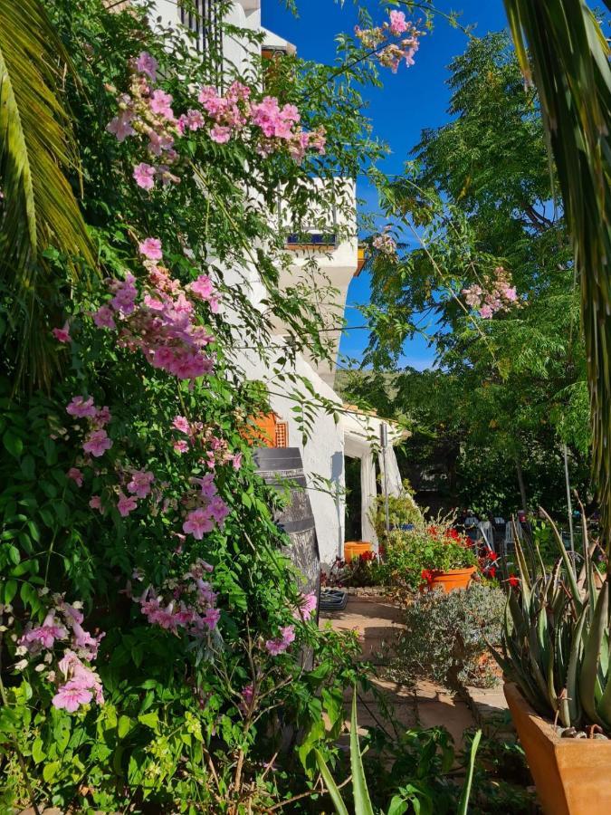 Bed and Breakfast Cortijo La Haza à Iznájar Extérieur photo