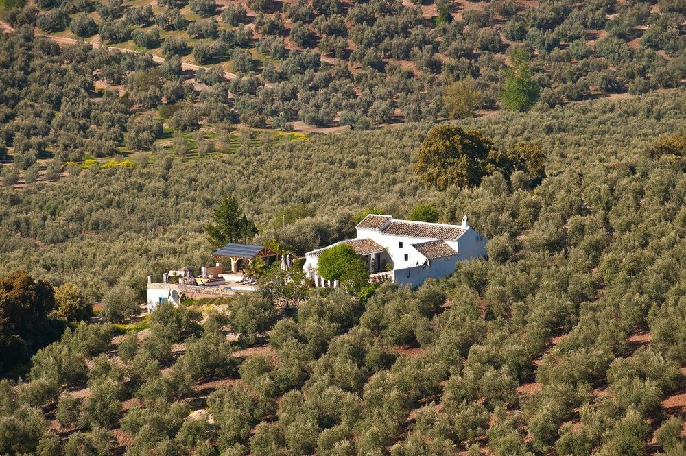 Bed and Breakfast Cortijo La Haza à Iznájar Extérieur photo